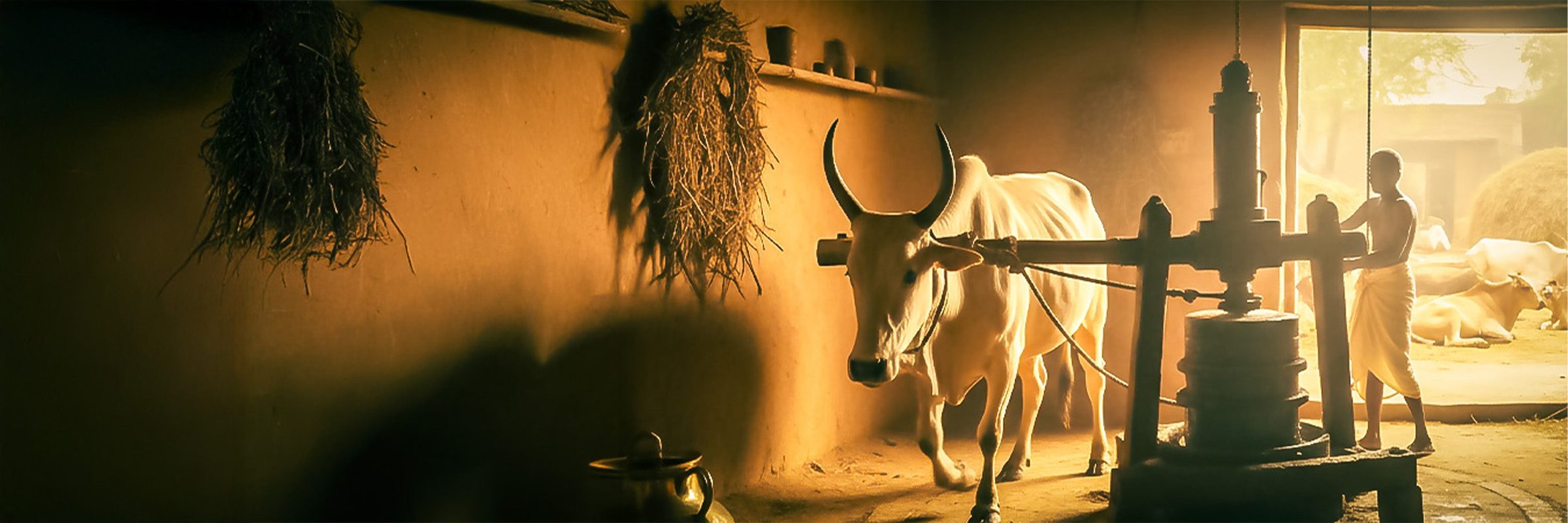 Tradition You Can Taste. Purity You Can Trust.