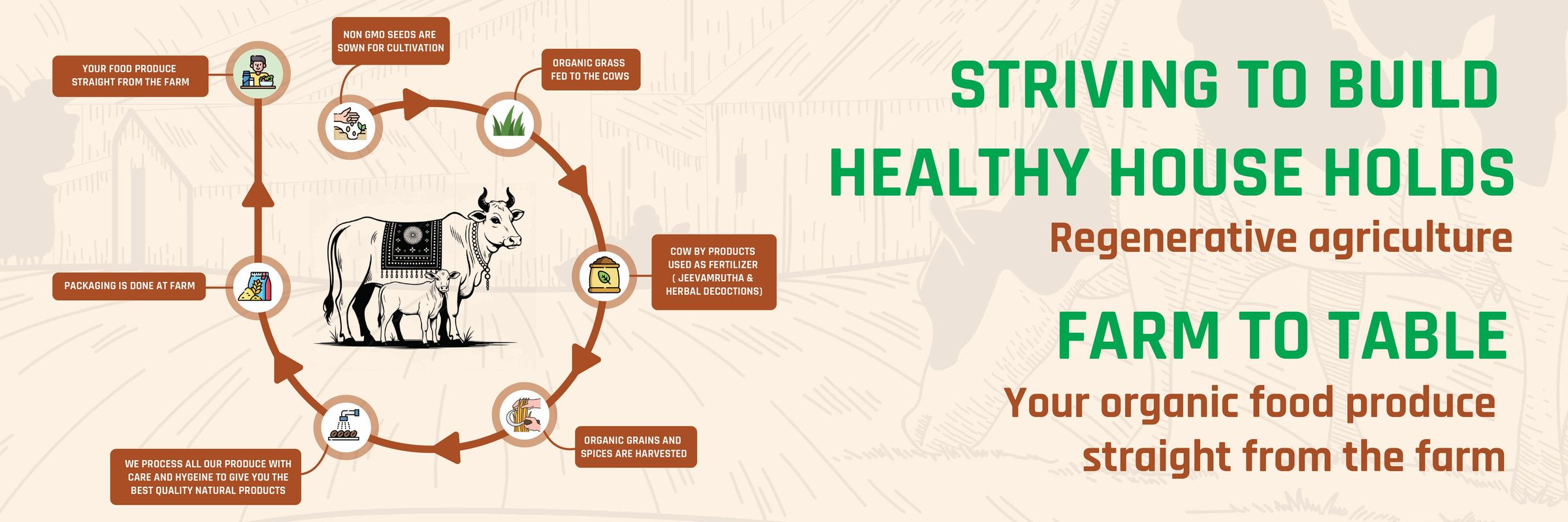 Striving to build healthy households — regenerative agriculture, farm to table