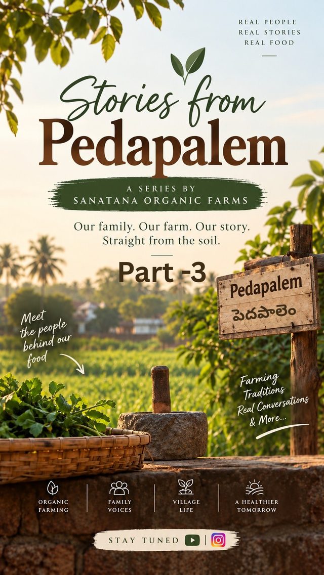Stories from Pedapalem — Part 3 🌱🌾 Every harvest begins long ...